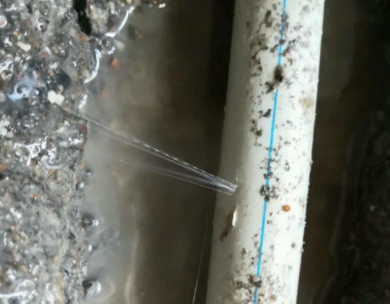 务川仡测漏水哪家好