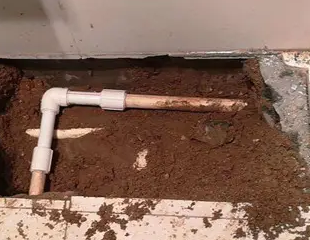 务川仡测漏水哪家好