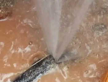 务川仡水管漏水检测哪家好