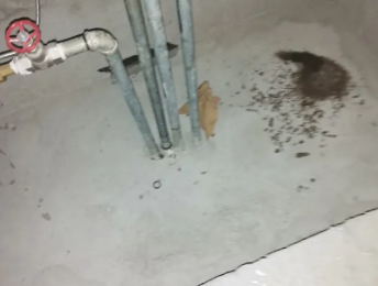 务川仡卫生间测漏水价格明细