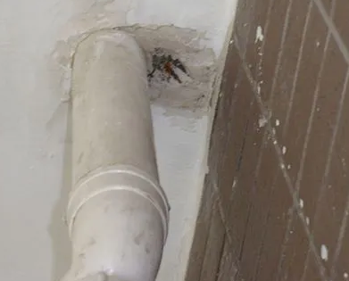 务川仡漏水检测哪家好